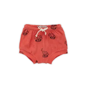 1304-TERRY BABY SHORT SHELL PRINT