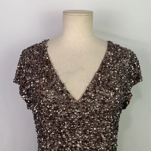 ParkerNWTSilver Sequined Dress